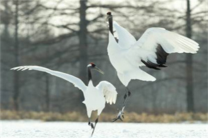 惠州市外遇调查取证：情分是短期的，好感是波动的